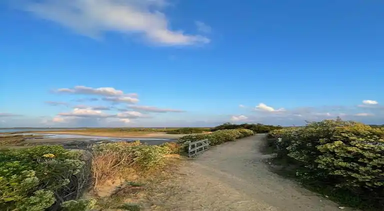 Ferielejlighed i Le Teich