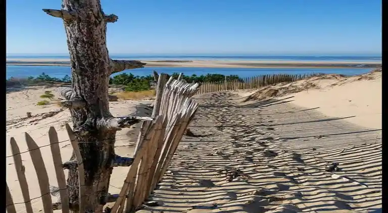 Ferielejlighed i Le Teich