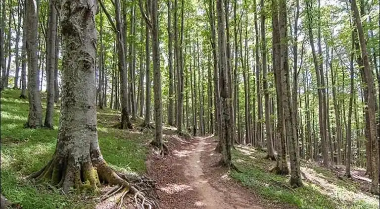 Casa rural en Ortignano Raggiolo
