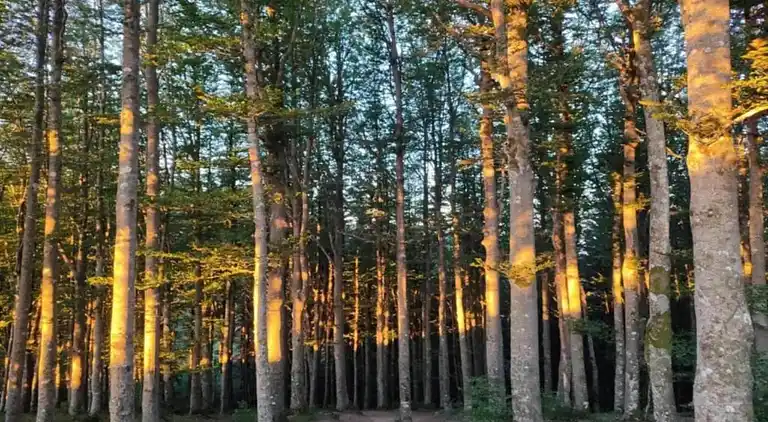 Casa rural en Ortignano Raggiolo