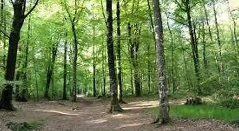 Sommerhus i Plerguer