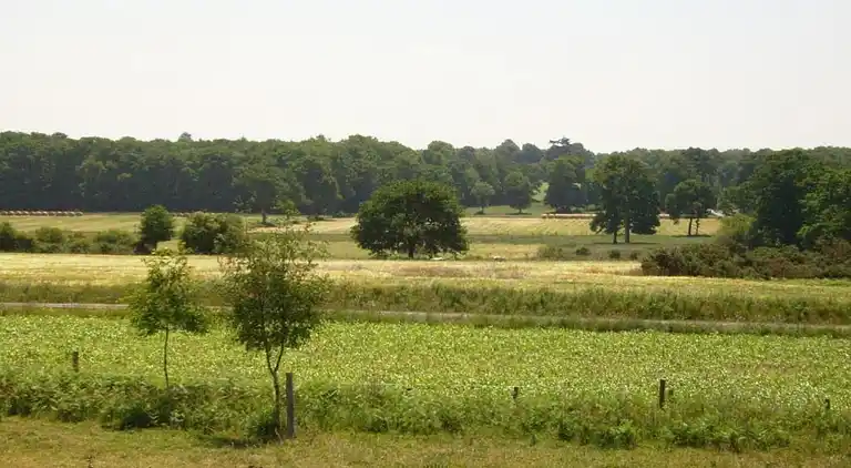 Sommerhus i Plerguer
