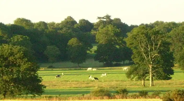 Sommerhus i Plerguer
