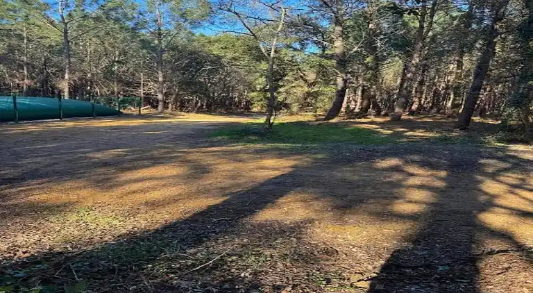 Holiday home in Ondres