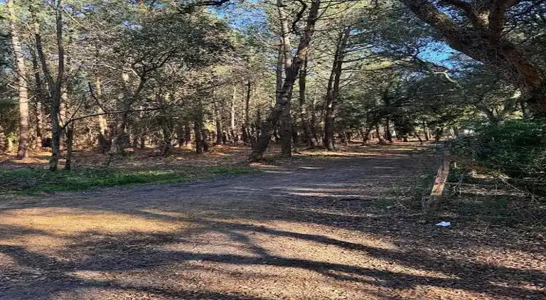 Ferielejlighed i Ondres