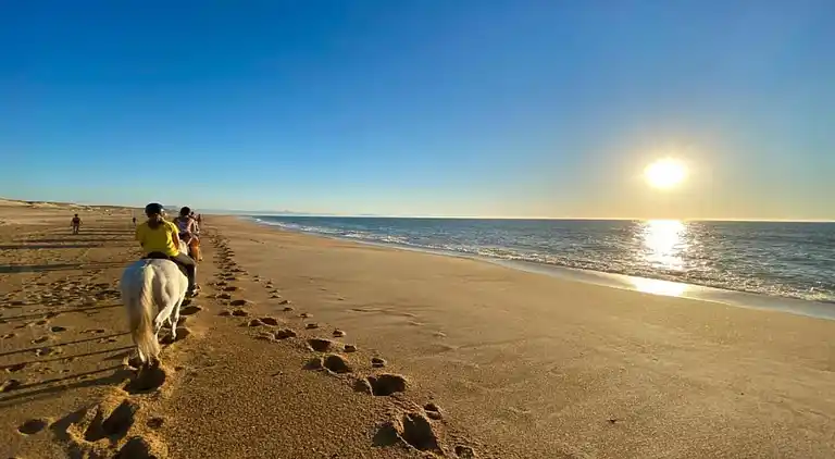 Holiday home in Ondres