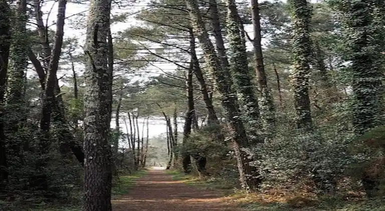 Holiday home in Ondres