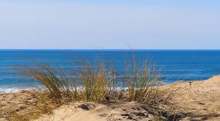 Ferielejlighed i Ondres