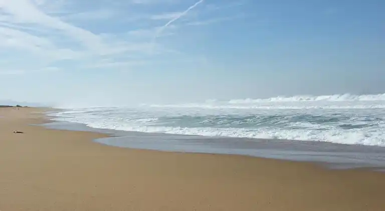 Holiday home in Ondres