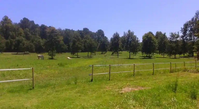 Holiday home in Ondres