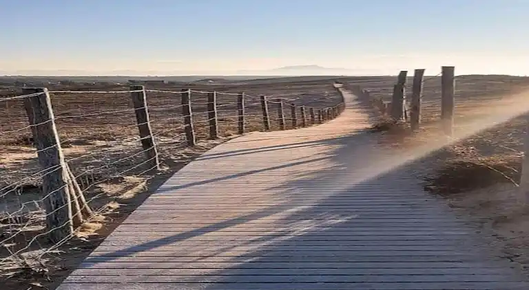 Ferielejlighed i Ondres