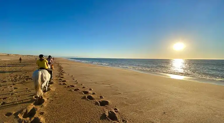 Ferielejlighed i Ondres