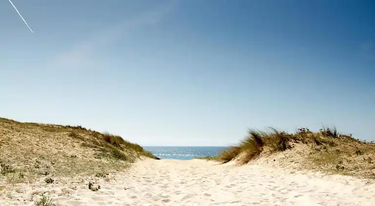 Ferielejlighed i Ondres