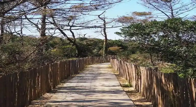 Ferielejlighed i Ondres