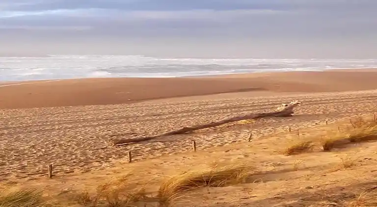 Ferielejlighed i Ondres