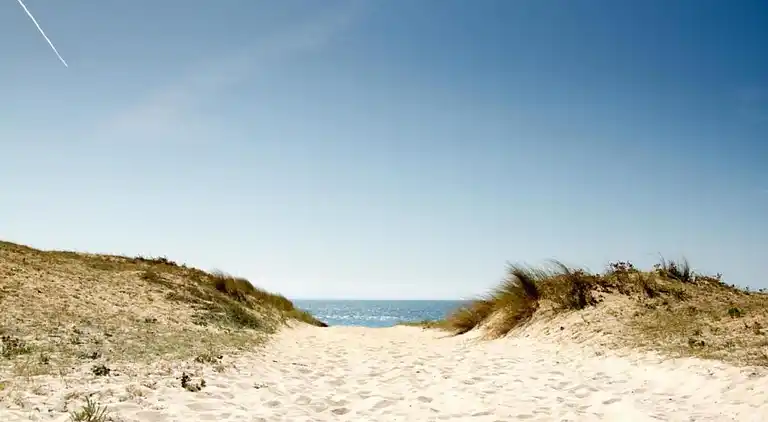 Holiday home in Ondres