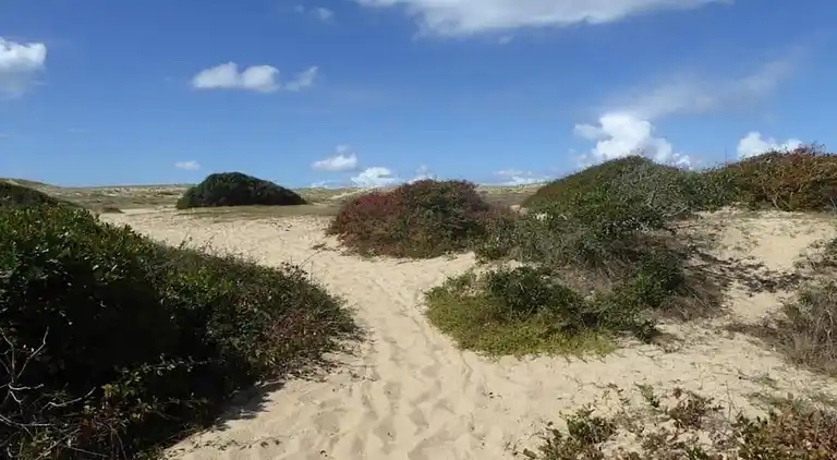 Holiday home in Ondres