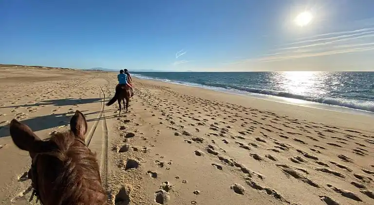 Ferielejlighed i Ondres