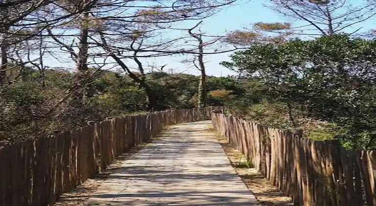 Holiday home in Ondres