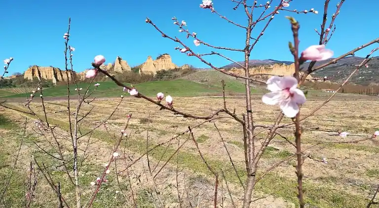 Leilighet i Castelfranco Piandiscò