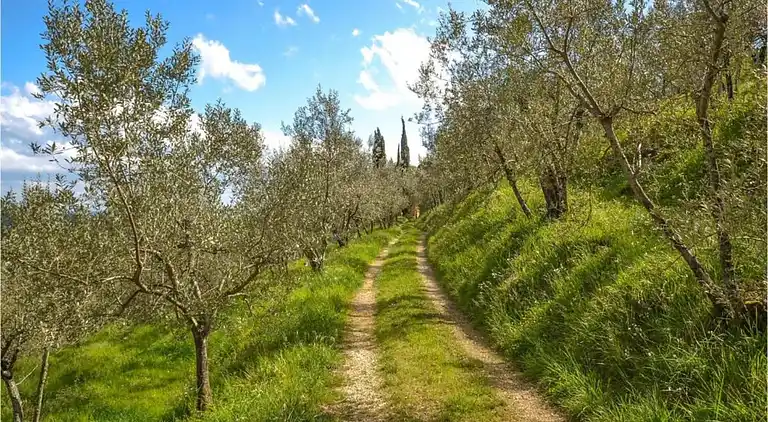 Appartement au Castelfranco di Sopra