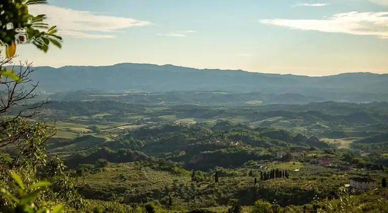 Farm house in Asciano