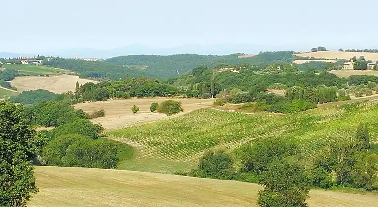 Farm house in Montepulciano