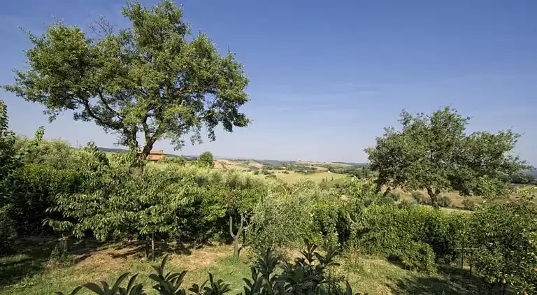 Farm house in Montepulciano