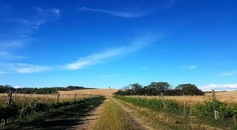 Apartment in Peccioli