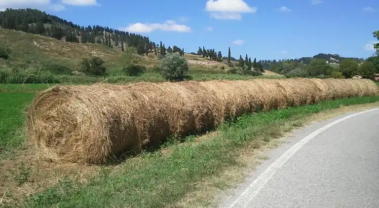 Apartment in Peccioli