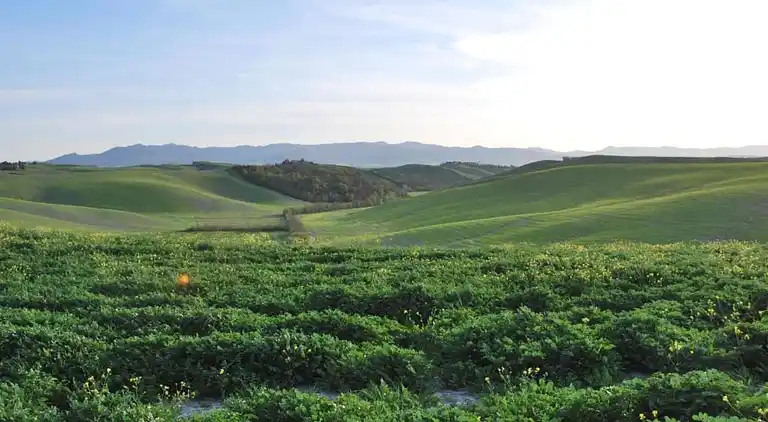 Apartment in Peccioli