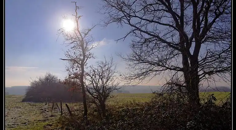 Feriebolig i Somme-Leuze