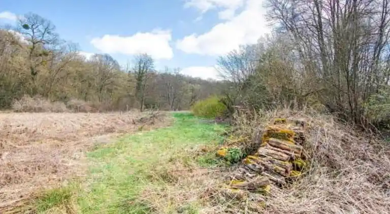 Holiday home in Somme-Leuze