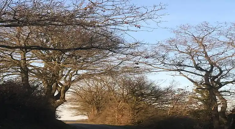 Semesterbostad i Noiseux