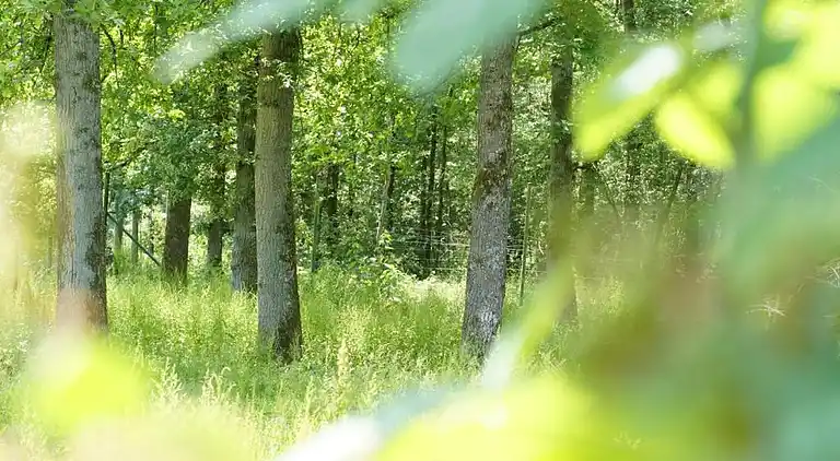 Semesterbostad i Noiseux