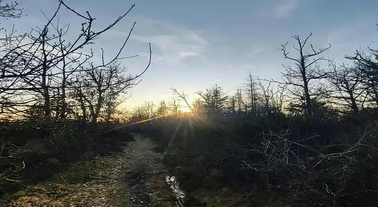 Semesterbostad i Noiseux