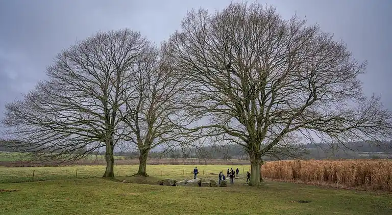 Semesterbostad i Durbuy