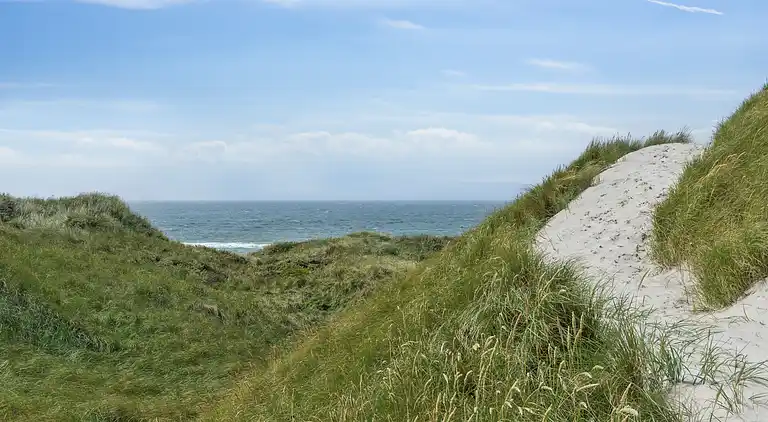 Sommerhus med ro og fred tæt på vandet