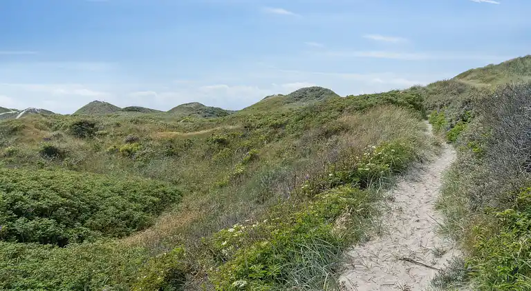 Sommerhus med ro og fred tæt på vandet