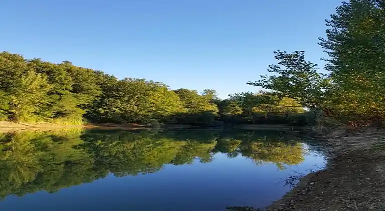 Apartment in Barberino Tavarnelle