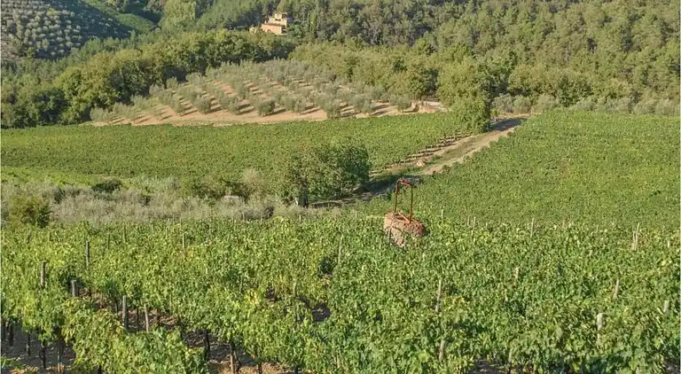 Apartment in Barberino Tavarnelle