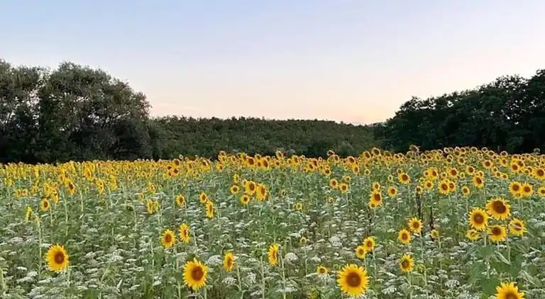 Ferienwohnung in Barberino Tavarnelle