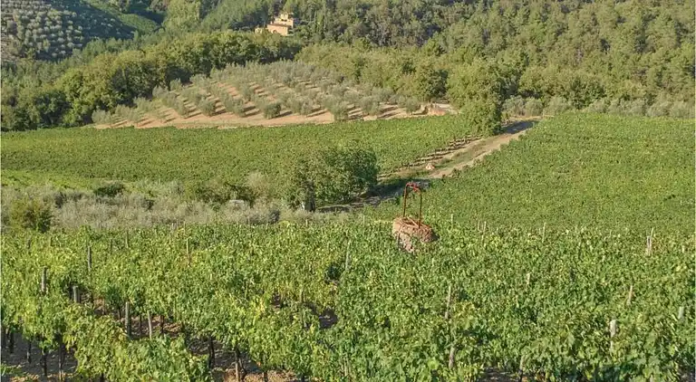 Appartamento in Barberino Tavarnelle