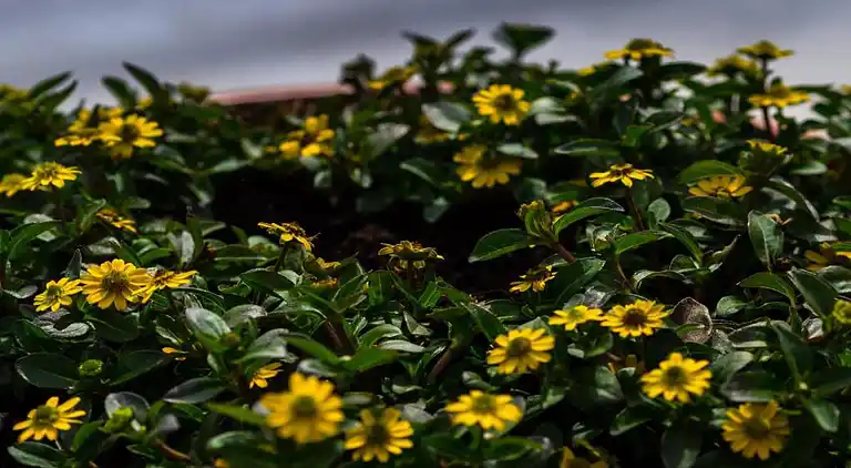 Ferienhaus in Barvaux-sur-Ourthe