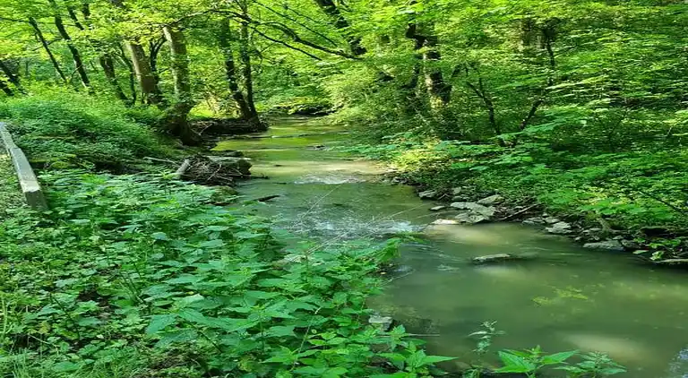 Ferienhaus in Barvaux-sur-Ourthe