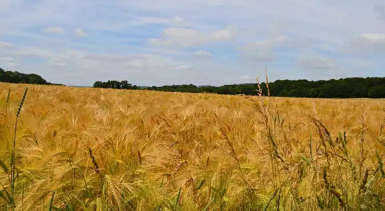 Semesterbostad i Grandhan