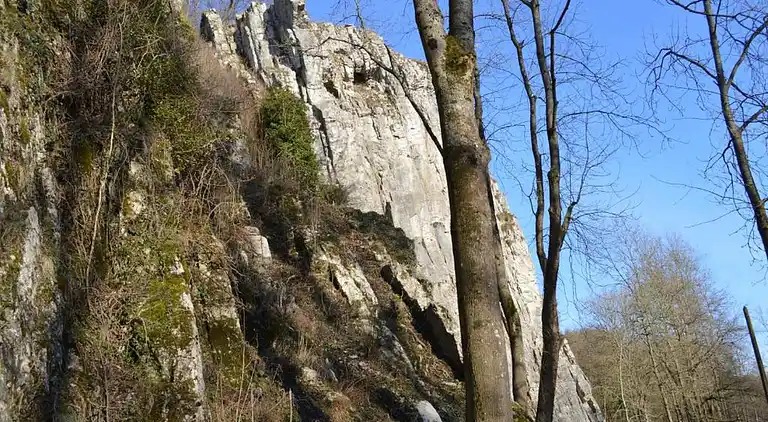 Ferienhaus in Barvaux-sur-Ourthe