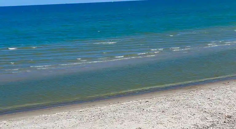 Sommerhusidyl nær vandet og skønne Sæby