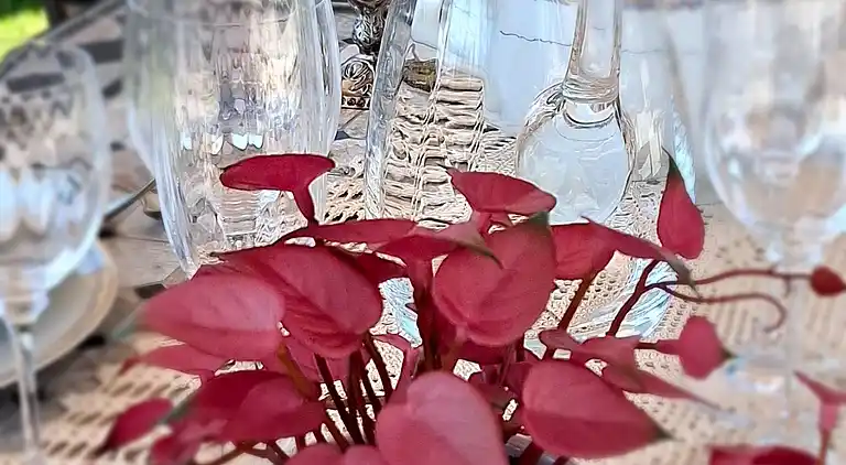 Ferienhaus Croce von Interhome