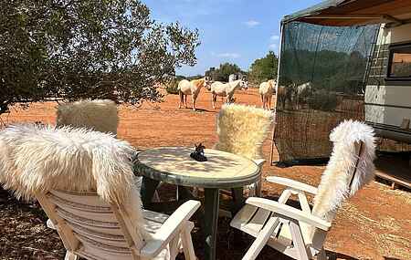 Sommerhus i Barão de São João